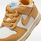 Nike Dunk Low Baby/Toddler Shoes