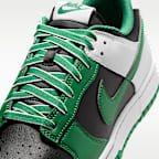 Nike Dunk Low Retro Men's Shoes