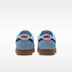 Nike Dunk Low Retro Men's Shoes