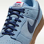 Nike Dunk Low Retro Men's Shoes