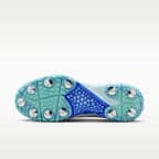 Nike Domain 3 Low Cricket Shoes