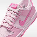 Nike Dunk Low Big Kids' Shoes
