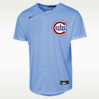 Chicago Cubs Big Kids' Nike Baseline Replica Team Jersey