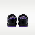 Tenis Nike Dunk Low Protro