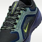 Chaussure de running sur route imperméable Nike Pegasus 41 GORE-TEX pour homme