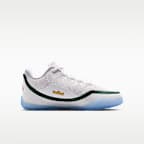 Tenis de básquetbol para niños grandes LeBron XXIII "From This Point Forward"