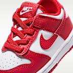 Nike Dunk Low Baby/Toddler Shoes