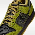 Nike Dunk Low Retro Men's Shoes