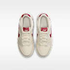 Nike Dunk Low Little Kids' Shoes