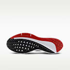 Nike Winflo 10 Men's Road Running Shoes