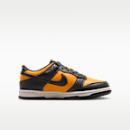 Nike Dunk Low Big Kids' Shoes