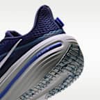 Nike Winflo 12 Men's Road Running Shoes (Wide)