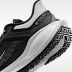 Nike Pegasus 41 GORE-TEX wasserdichter Straßenlaufschuh (Herren)