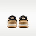 Nike Dunk Low Retro SE Men's Shoes