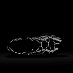 ナイキ ACG マウンテン フライ LOW GORE-TEX SE メンズシューズ