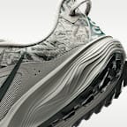 Nike ACG Pegasus Trail Men's Trail-Running Shoes