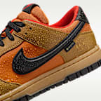 Nike Dunk Low GORE-TEX Men's Shoes