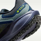 Chaussure de running sur route imperméable Nike Pegasus 41 GORE-TEX pour homme