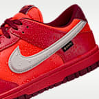 Nike Dunk Low GORE-TEX Men's Shoes