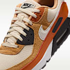 Nike Air Max 90 Men's Shoes
