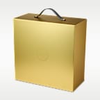 LeBron XXIII 'Honour The King' Basketball Shoes