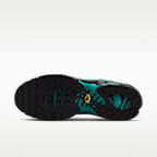 Nike Air Max Plus sko til herre