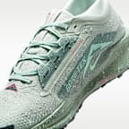 รองเท้าวิ่งเทรลผู้ชายกันน้ำ Nike Pegasus Trail 5 GORE-TEX