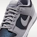 Nike Dunk Low SE Iridescent Women's Shoes