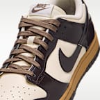 Nike Dunk Low Retro Men's Shoes