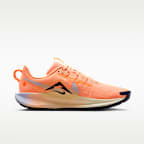 Nike Pegasus Trail 5 Traillaufschuh (Herren)