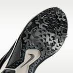 Tenis de golf para hombre Nike Pegasus 1