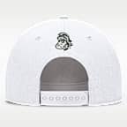 Michigan State Legacy Letter Rise Men's Nike Dri-FIT College A-Frame Adjustable Hat