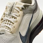 Ανδρικά παπούτσια για τρέξιμο σε δρόμο Nike Pegasus Premium