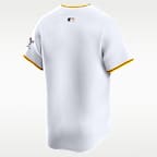 Pittsburgh Pirates Men's Nike Dri-FIT ADV MLB Limited Jersey