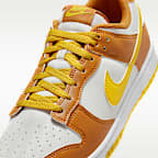 Nike Dunk Low Retro Men's Shoes