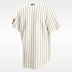 Minnesota Twins 2026 MLB at Field of Dreams Men's Nike MLB Stadium Jersey