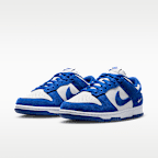 Nike Dunk Low Suede Women's Shoes
