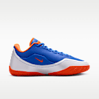 LeBron XXIII PER EP Basketball Shoes