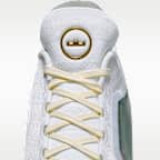 LeBron XXIII Elite 'Good Intentions' Basketball Shoes