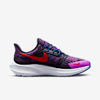 Nike Pegasus FlyEase Women's Easy On/Off Road Running Shoes