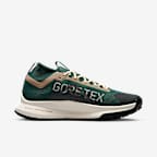 Nike Pegasus Trail 4 GORE-TEX Men's Waterproof Trail-Running Shoes