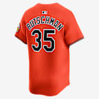 Adley Rutschman Baltimore Orioles Men's Nike Dri-FIT ADV MLB Limited Jersey