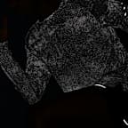 Nike Stride playera de correr de manga larga Dri-FIT ADV con detalles de diseño reflejante para hombre