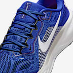 Kentucky Pegasus 41 Men's Nike College Road Running Shoes