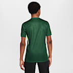 VfL Wolfsburg 2025/2026 Stadium Home Youth Nike Dri-FIT Football Replica Short-Sleeve Top