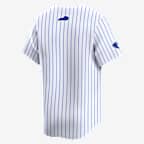Kentucky Wildcats Men's Nike College Limited Baseball Jersey