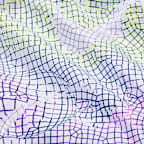 Serena Williams Design Crew Stash Duffel Bag (21L)