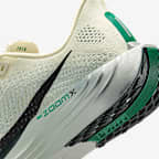 나이키 페가수스 플러스 여성 로드 러닝화