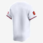 Jersey de béisbol universitario Nike Limited para hombre Clemson Tigers