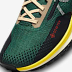 Nike Pegasus Trail 4 GORE-TEX Men's Waterproof Trail-Running Shoes